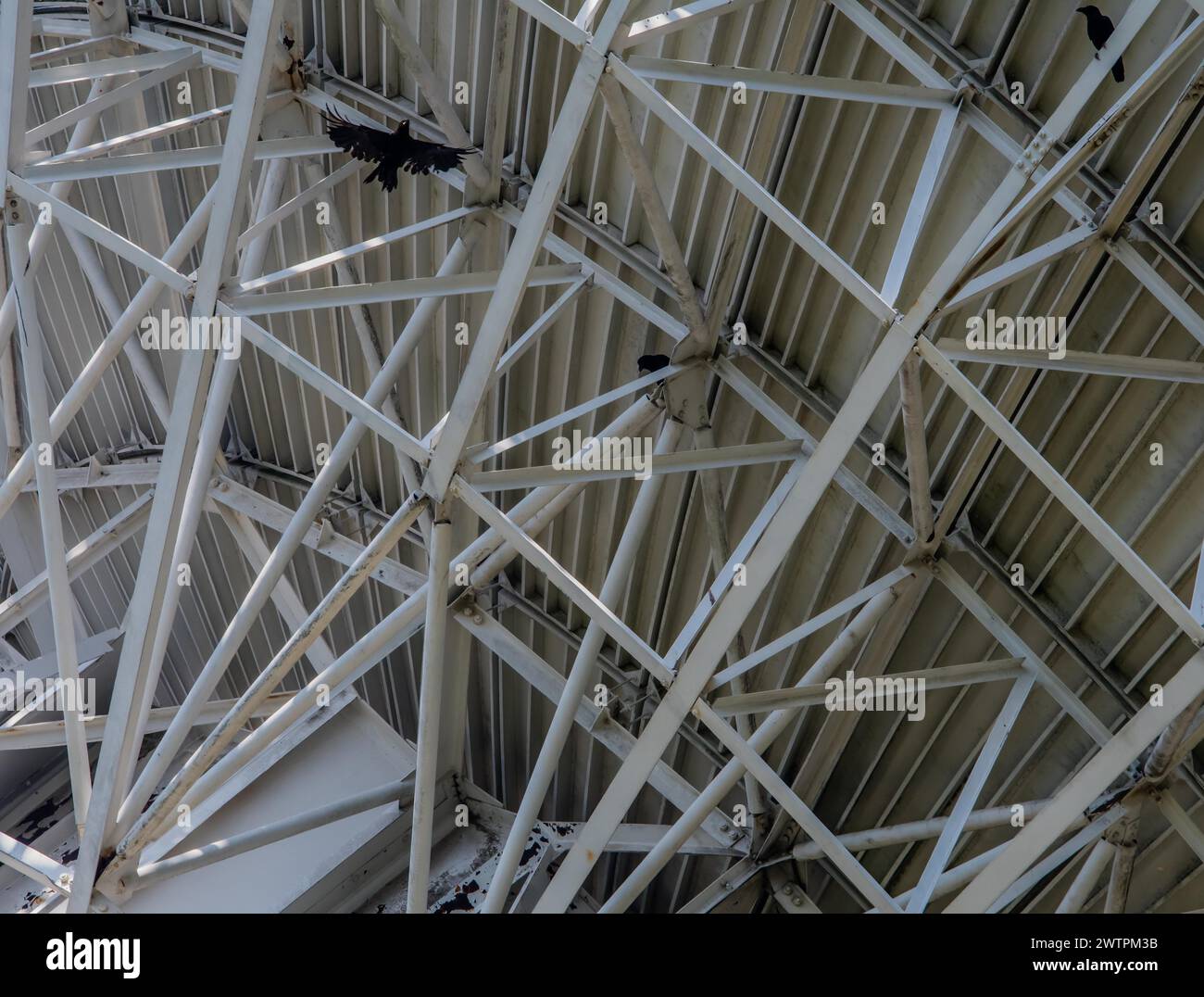 Close-up of a complex gray metal structure forming a geometric pattern, in South Korea Stock Photo