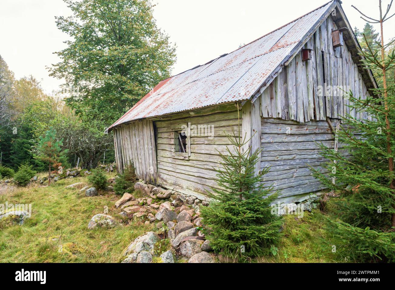 Old wooden shed hi-res stock photography and images - Alamy