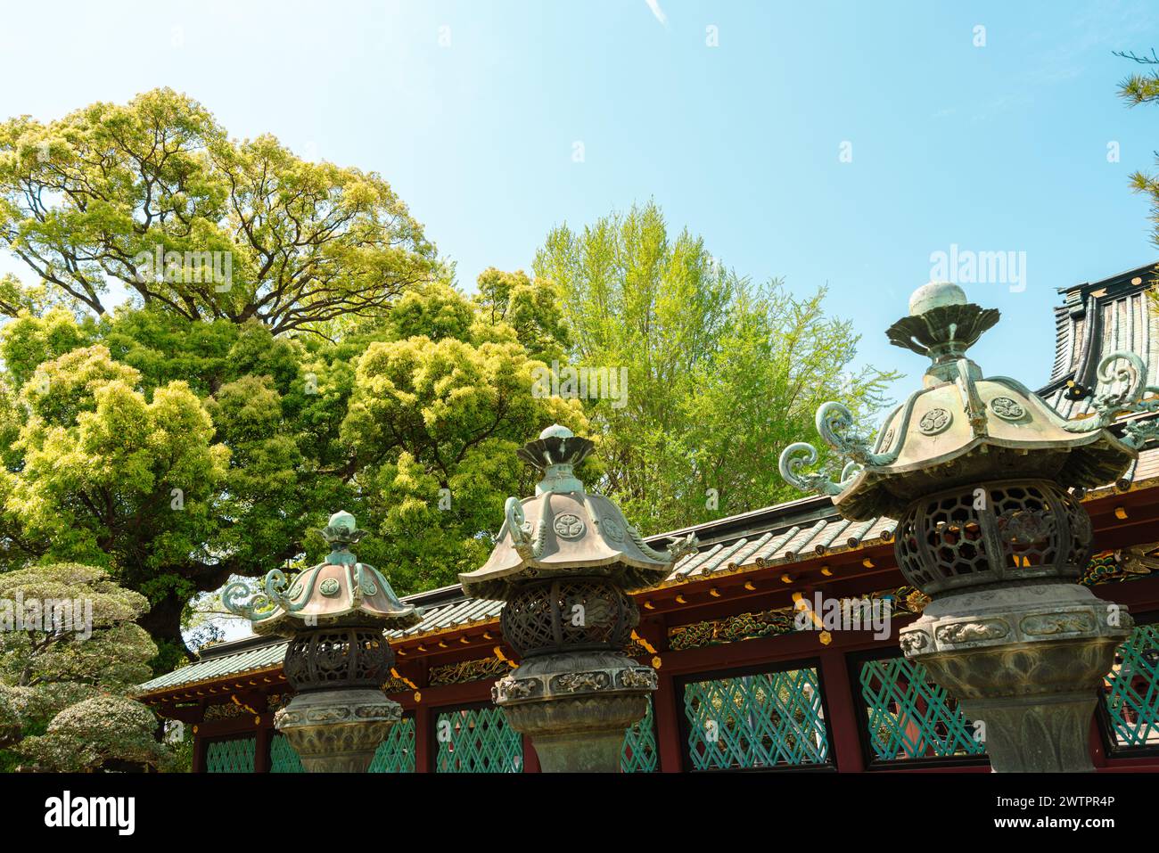 Ueno Park Toshogu shrine traditional lanterns in Tokyo, Japan Stock ...