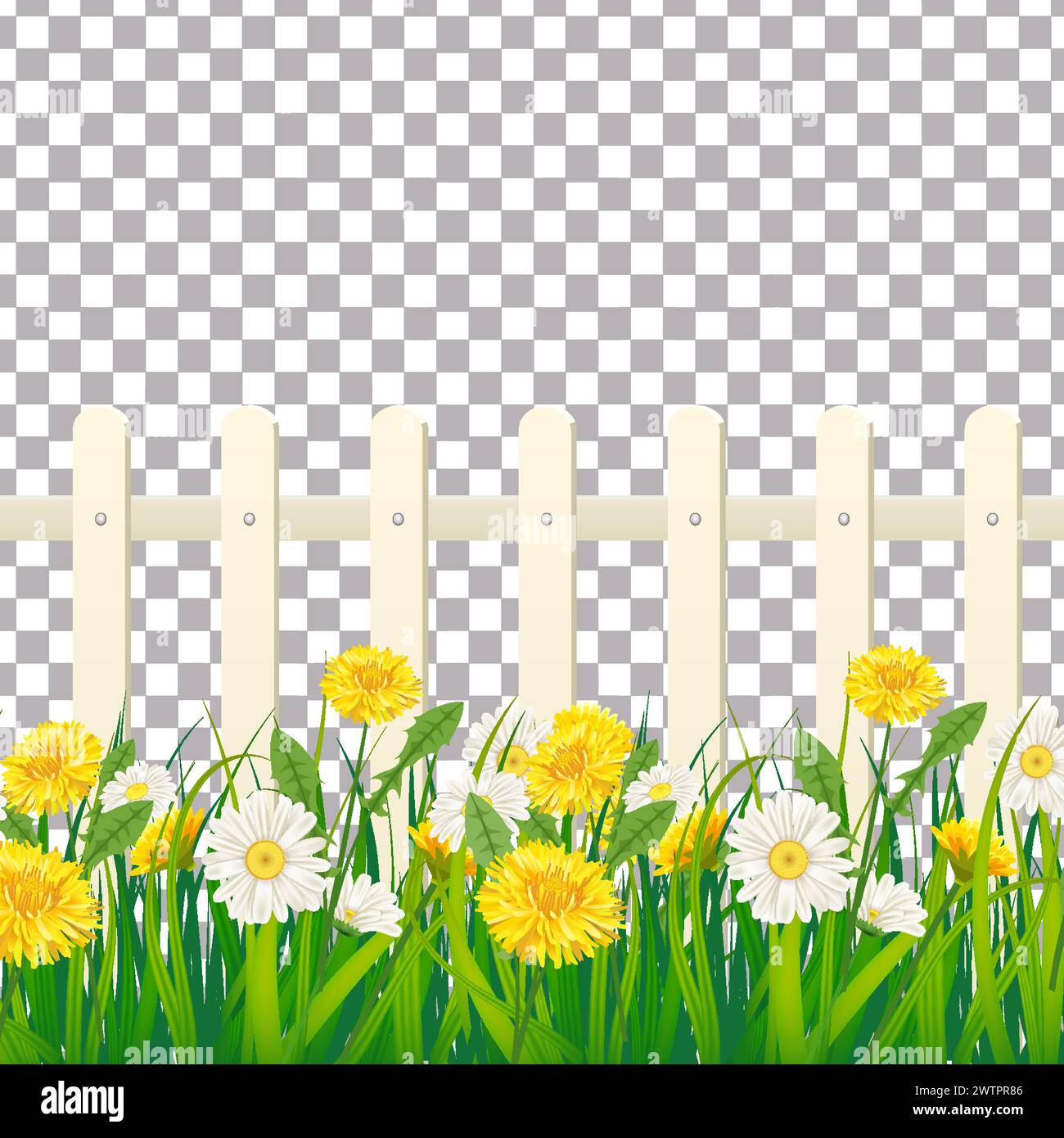 Spring green grass, daisy and dandelion flowers, white fence Stock Vector