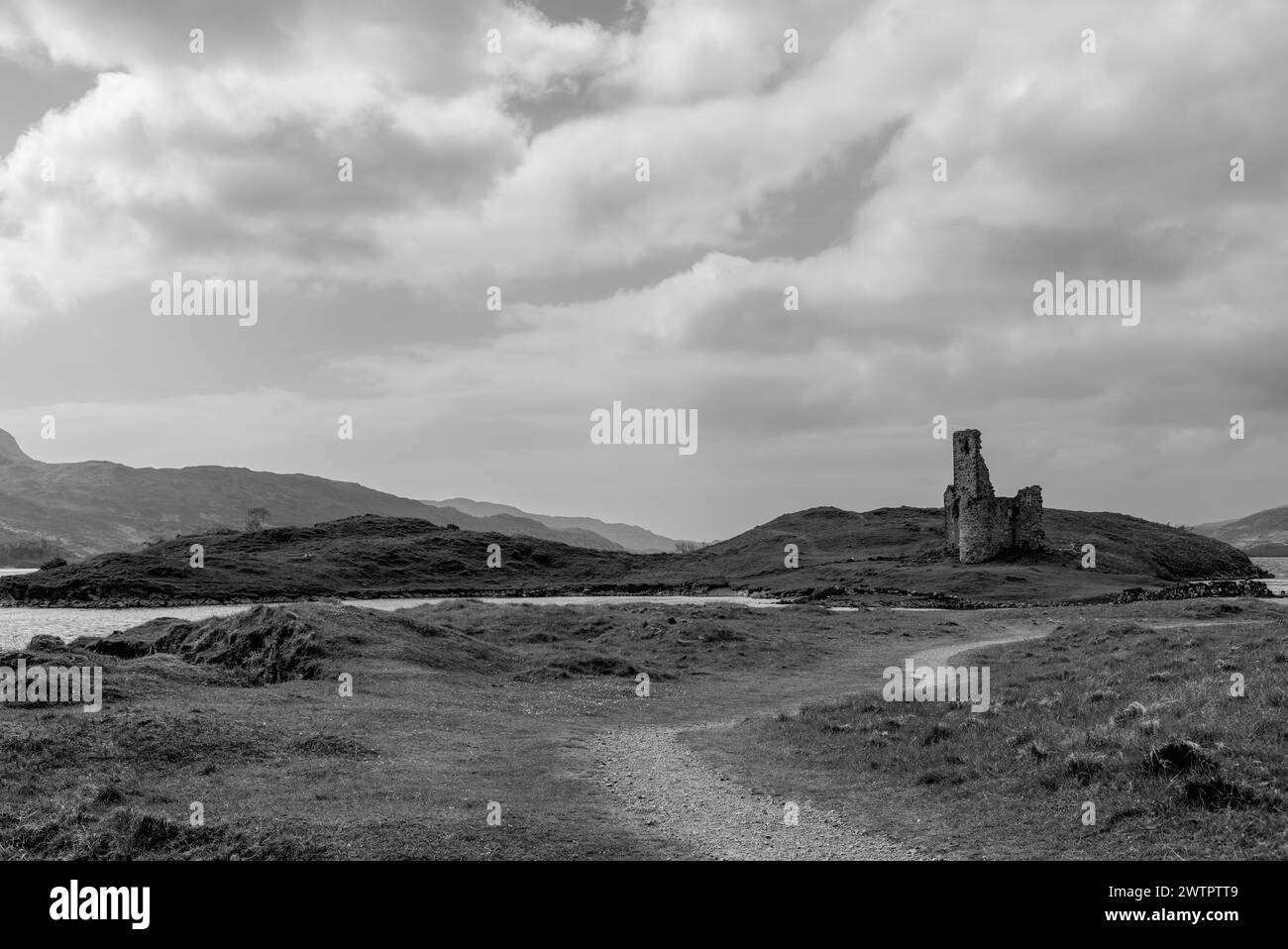 A black and white image capturing the serene landscape of Ardvreck Castle ruins, nestled amidst the rugged terrain of Scotland. The winding path leads Stock Photo