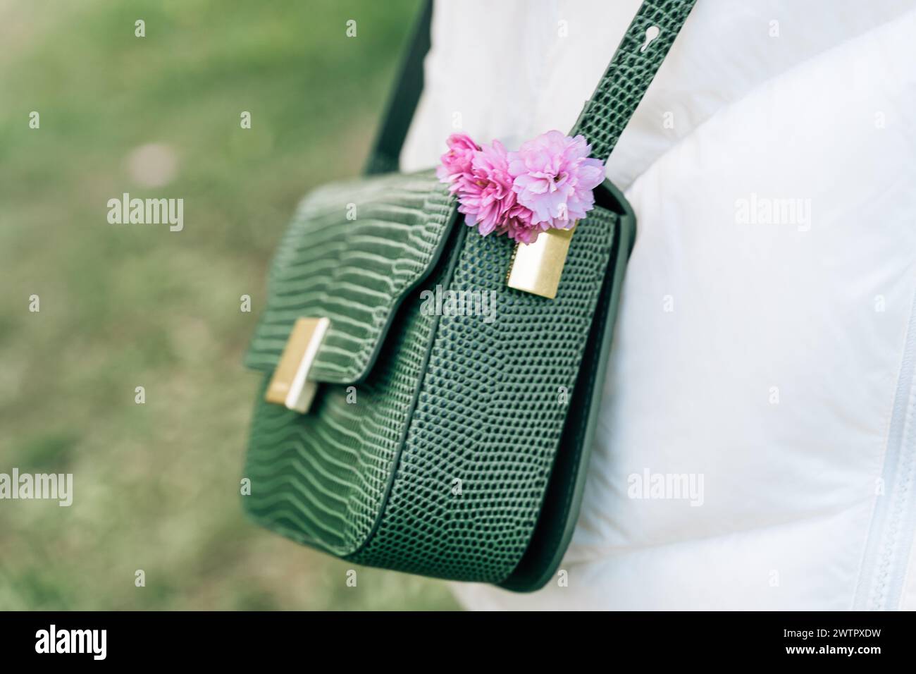 Close-up of pink japanese cherry blossoms in female green bag with imitation reptile skin Stock Photo