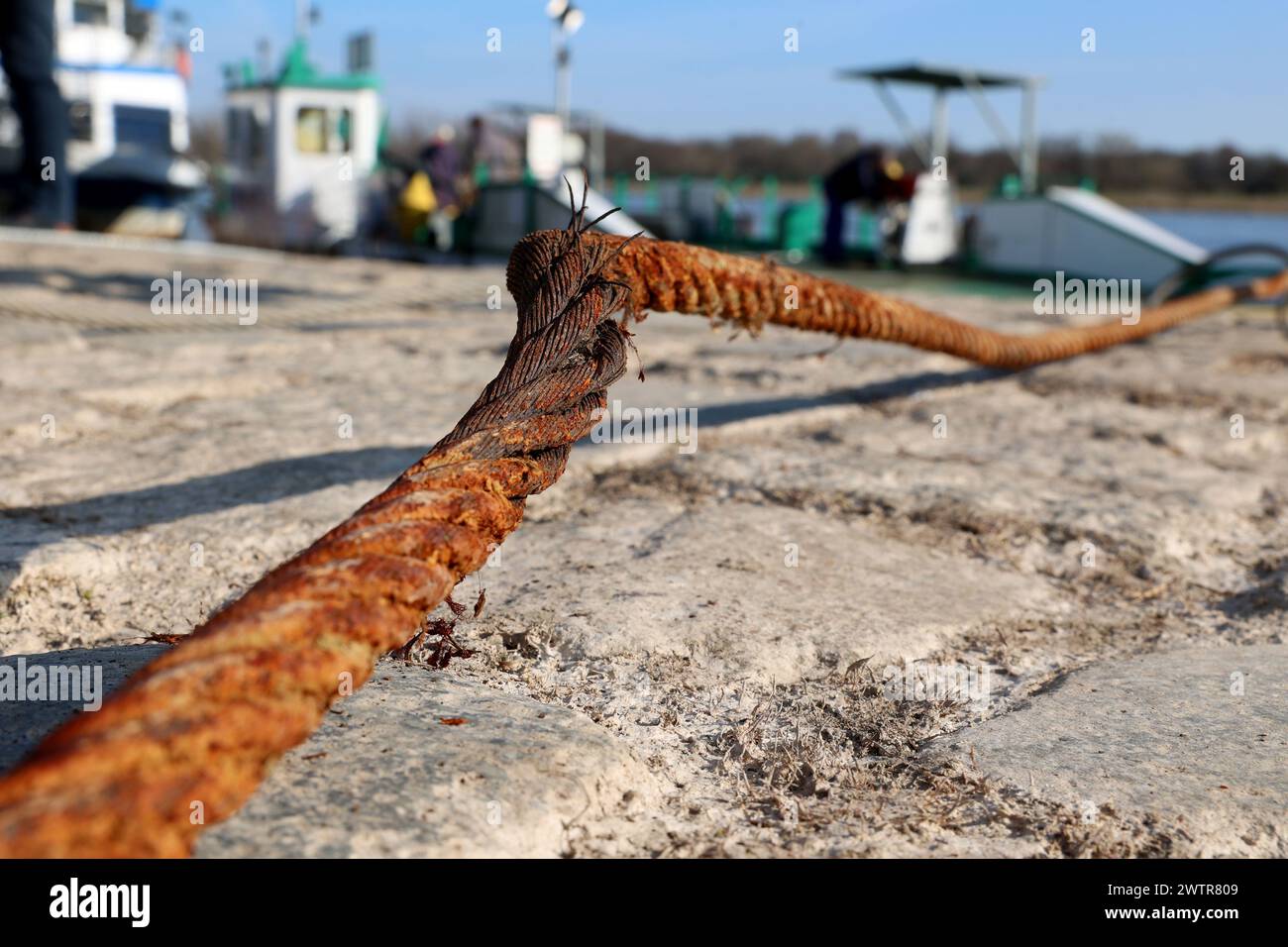 Magdeburg, Germany. 19th Mar, 2024. An old steel cable from the 'Westerhüsen' yaw ferry lies at the landing stage. After around five years of continuous use, employees are now replacing around 350m of steel cable and the buoys are being checked by the TÜV. The ferry, which dates back to 1933, is an important link to the Elbe cycle path in Saxony-Anhalt. Credit: Peter Gercke/dpa-Zentralbild/ZB/dpa/Alamy Live News Stock Photo