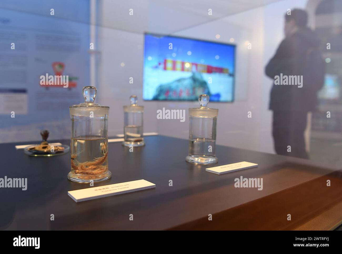 Hong Kong, China. 19th Mar, 2024. Polar biological specimens are