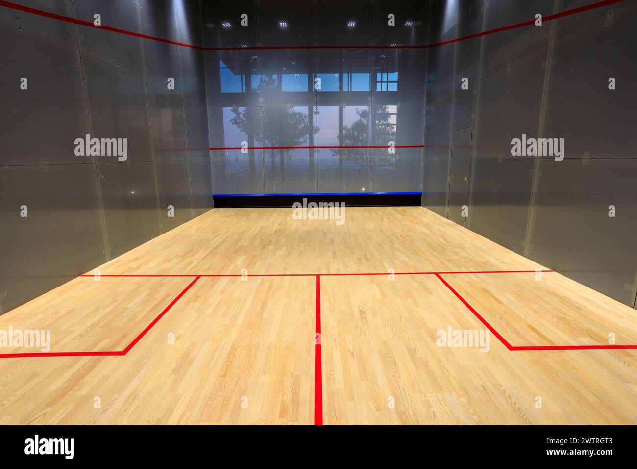 Luxury Penthouse Suite With Private Squash Court