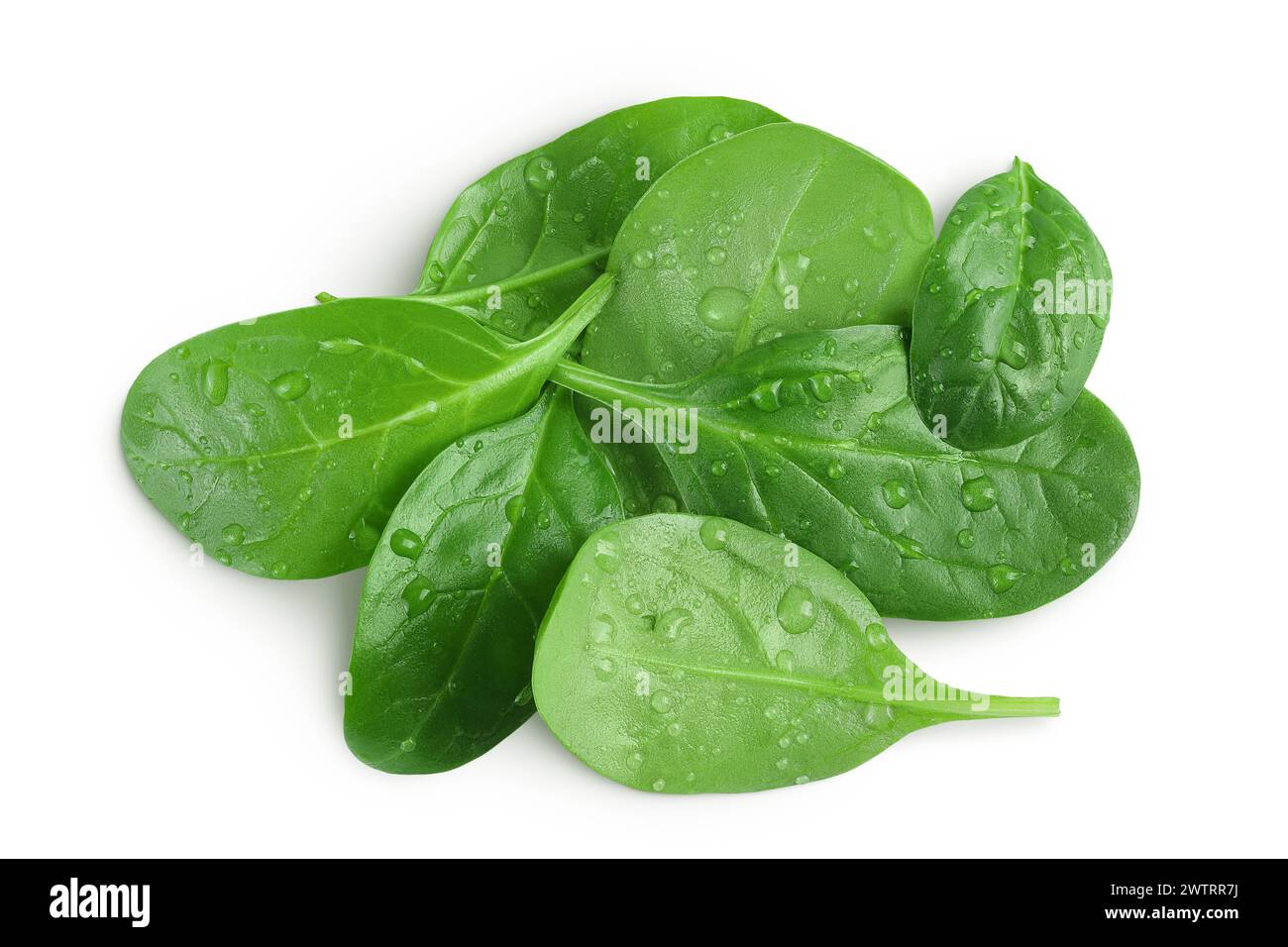 Baby spinach leaves isolated on white background Stock Photo - Alamy