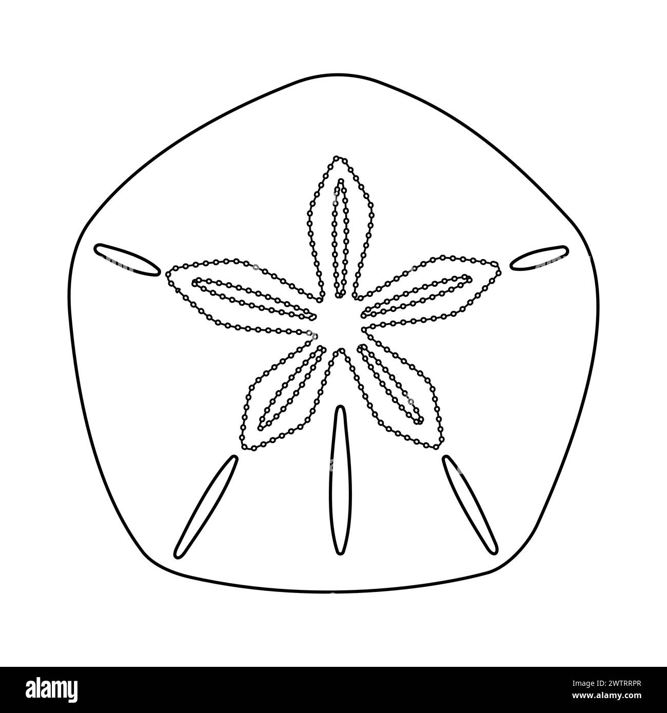 Collection of sea biscuits Stock Vector Images Alamy