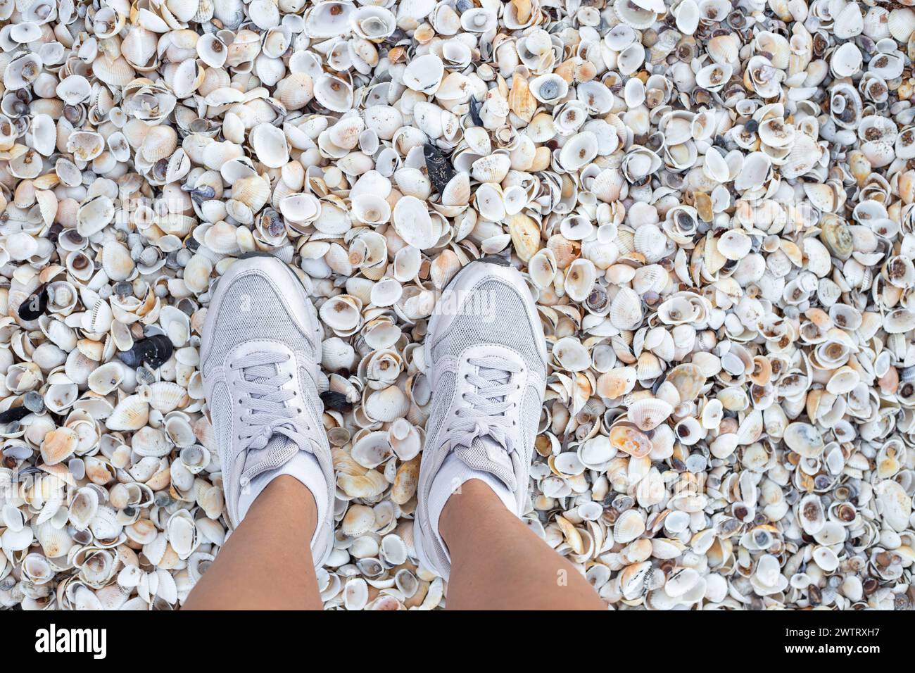 Female legs in white sneakers on a shell beach. Travel and tourism ...