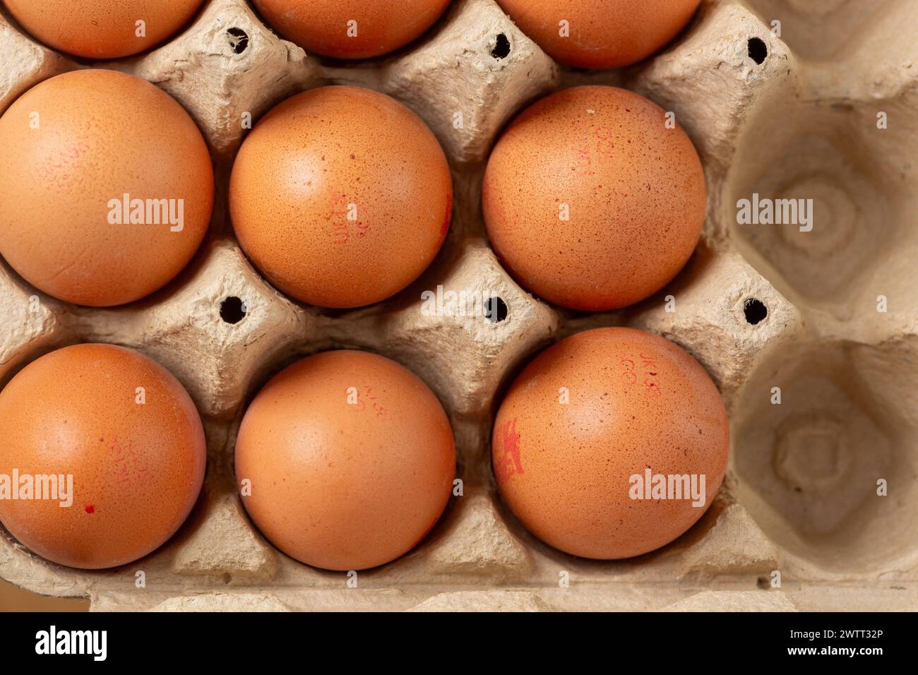 brown chicken eggs in an Egg Box Stock Photo