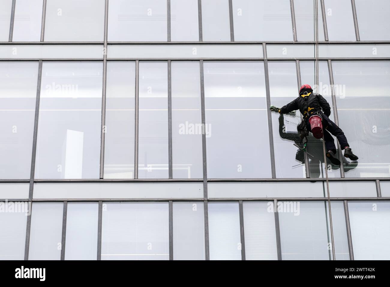Window cleaners suspended on ropes clean the exterior windows of an