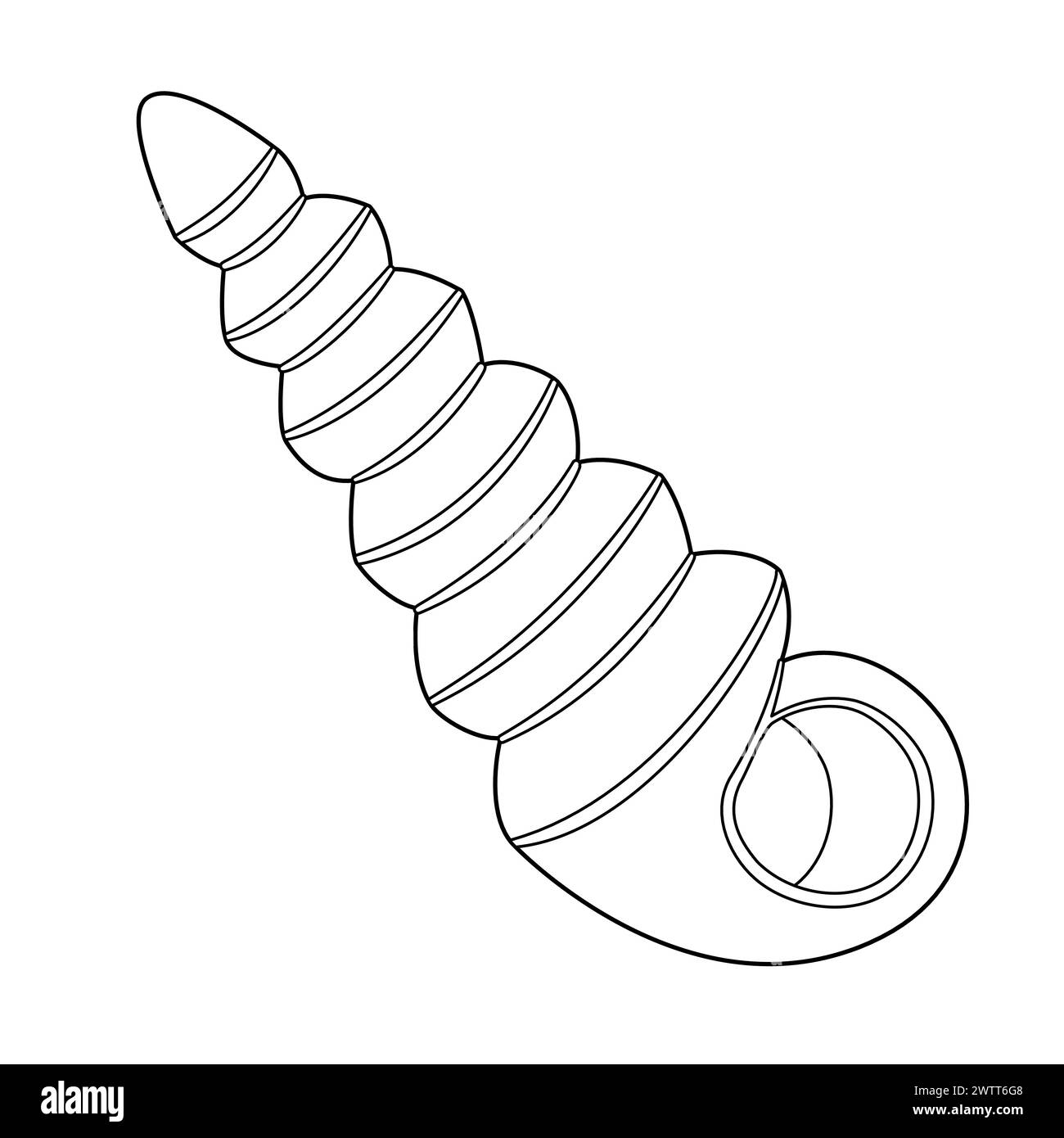 Seashell vector illustration. Black and white outline Seashell Coloring ...