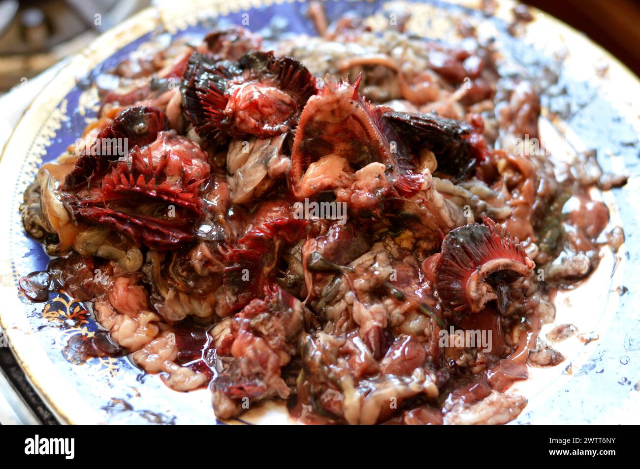 fish waste viscera collected, could be converted into a feed ingredient for aquaculture by fish viscera silage, valorisation of viscera from fish proc Stock Photo