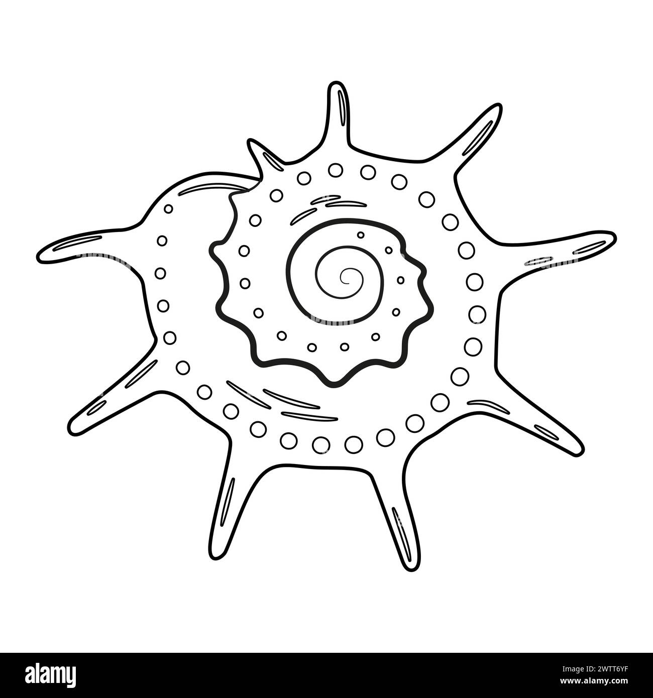 Seashell vector illustration. Black and white outline Seashell Coloring