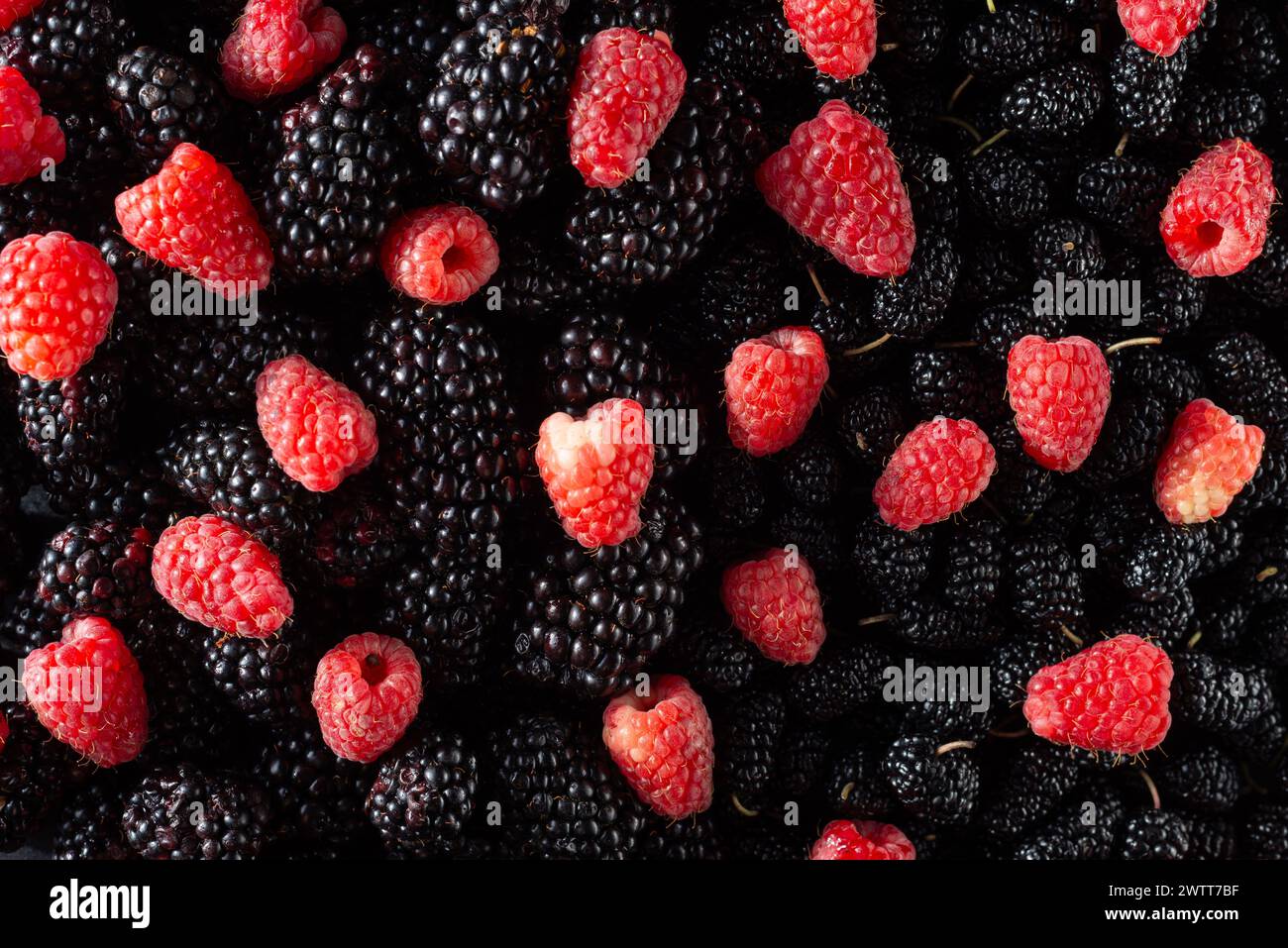 texture of black and red berries fresh fruit blueberries and raspberries. Stock Photo