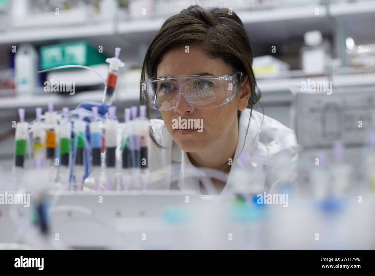Attractive female scientist examinine test tube for results Stock Photo