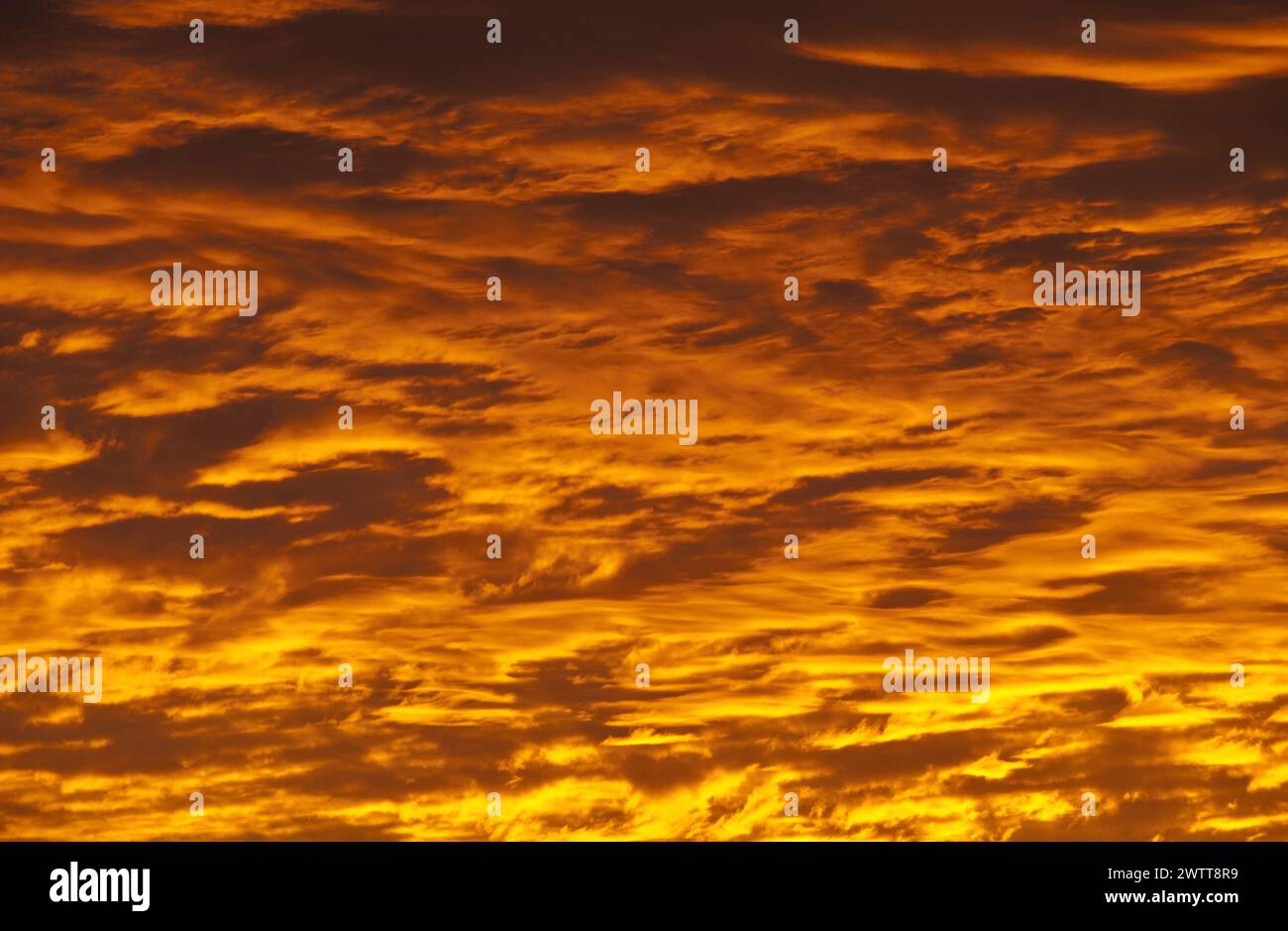 sunrise in Columbia, South Carolina Stock Photo