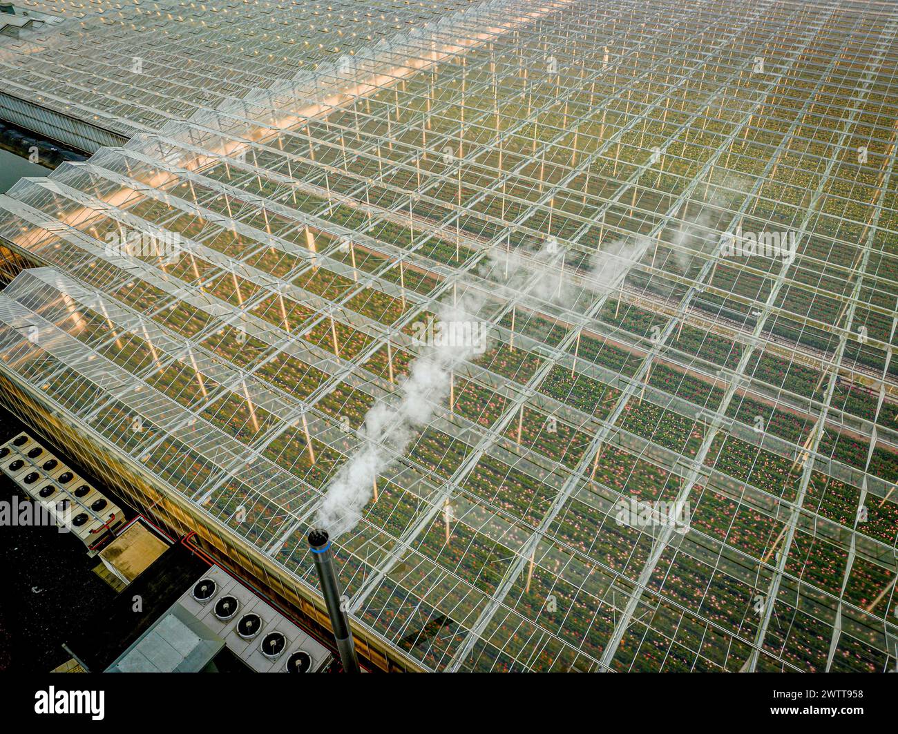 Overhead view of a sprawling greenhouse emitting steam amidst an industrial setting Stock Photo