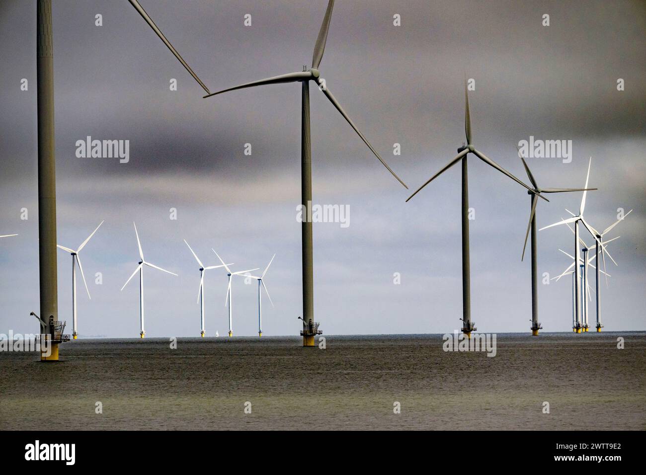 Wind turbines standing tall above the ocean under a cloudy sky Stock ...