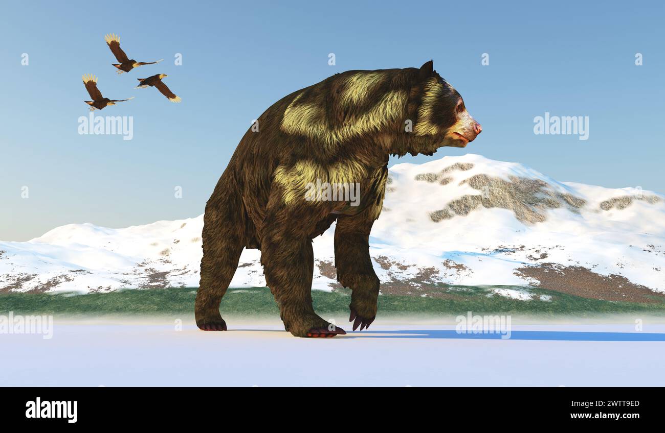 Arctodus was an omnivorous short-faced bear that lived in North America during the Pleistocene Period. Stock Photo