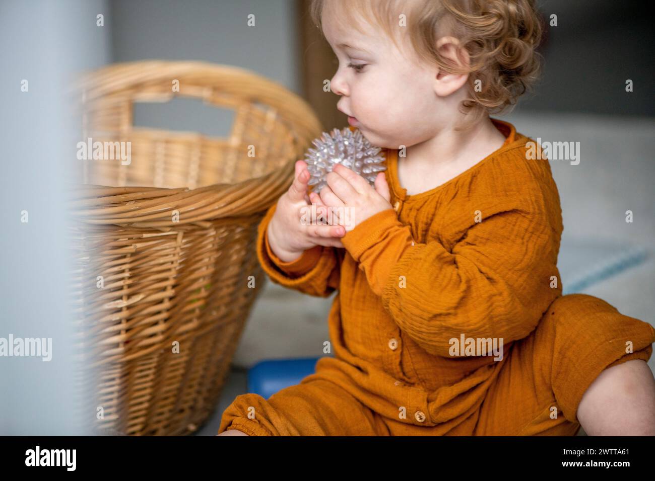 Toddler in awe exploring a flower Stock Photo