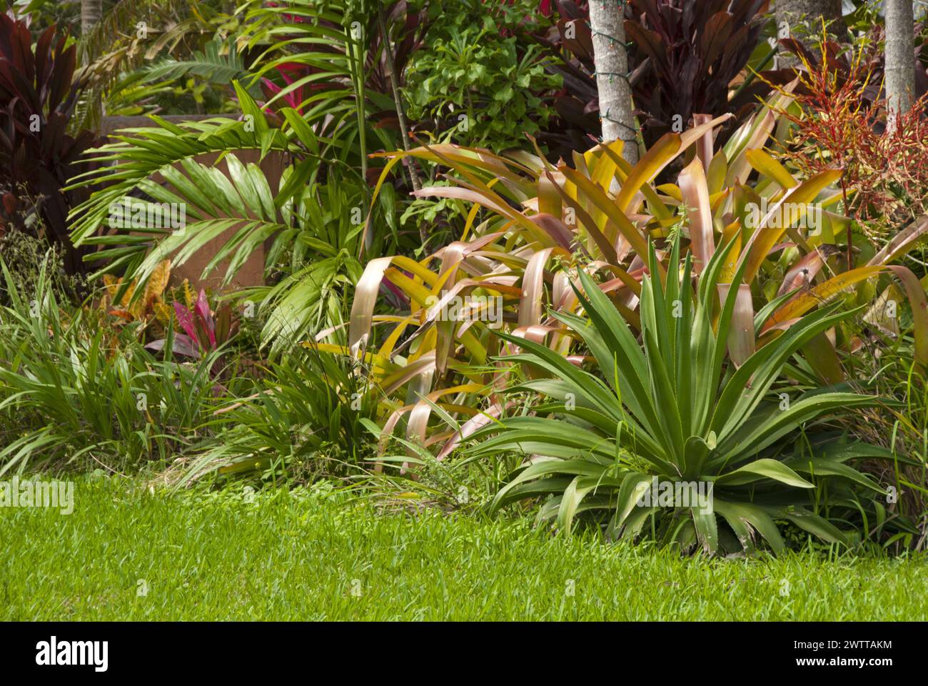 Miami landscaping hi-res stock photography and images - Alamy