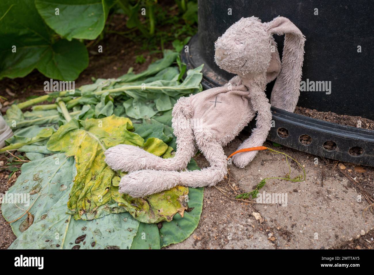 A lonely stuffed bunny slumped on the ground beside a wilting leaf. Stock Photo