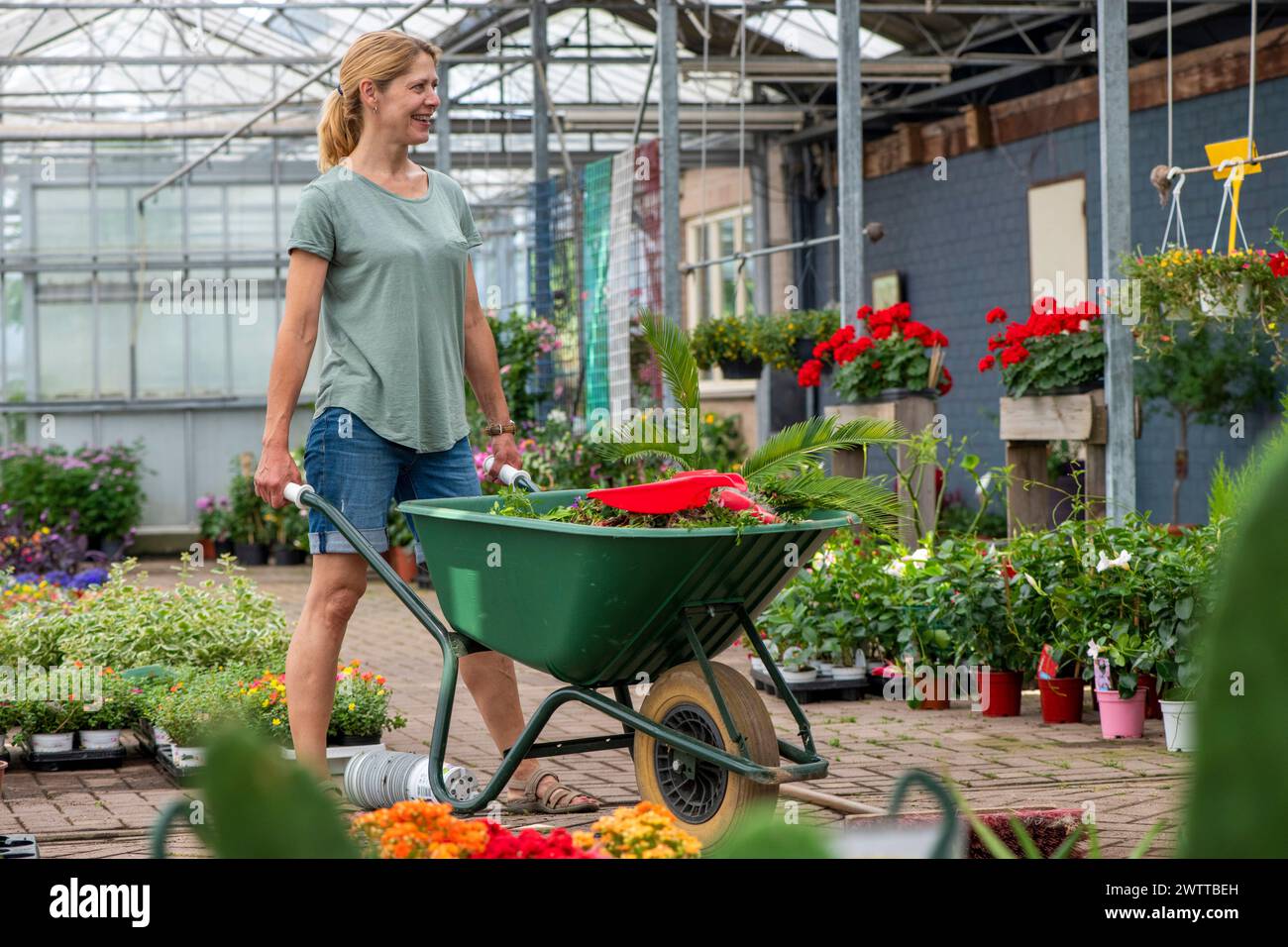 Woman happily tending to her garden shopping with a wheelbarrow full of plants. Stock Photo