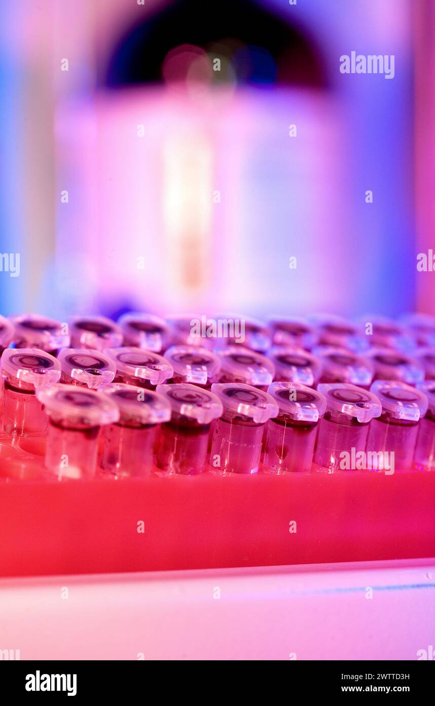Close-up of a lab's test tube rack in vibrant lighting Stock Photo