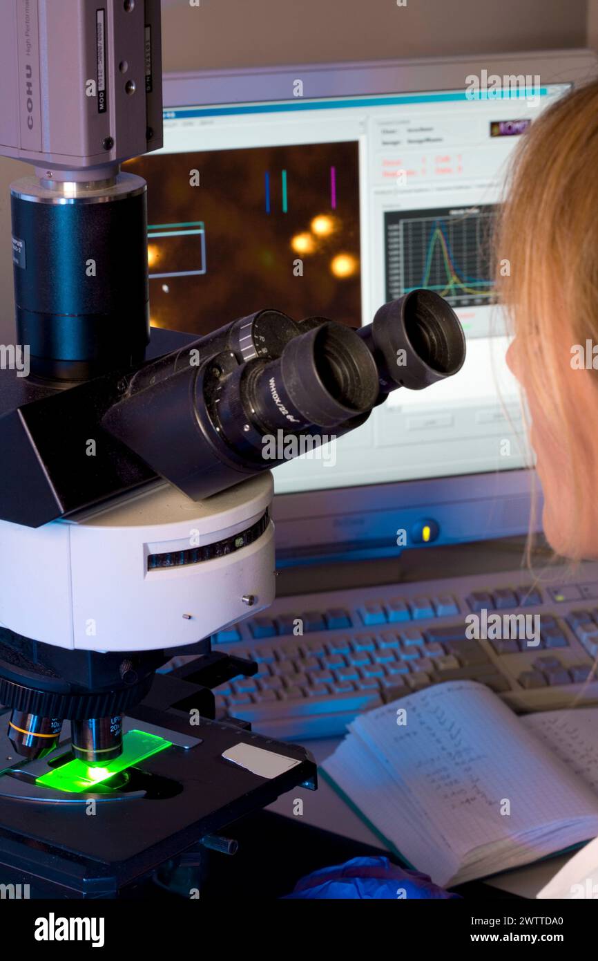 Scientist examining samples under a microscope in a lab Stock Photo