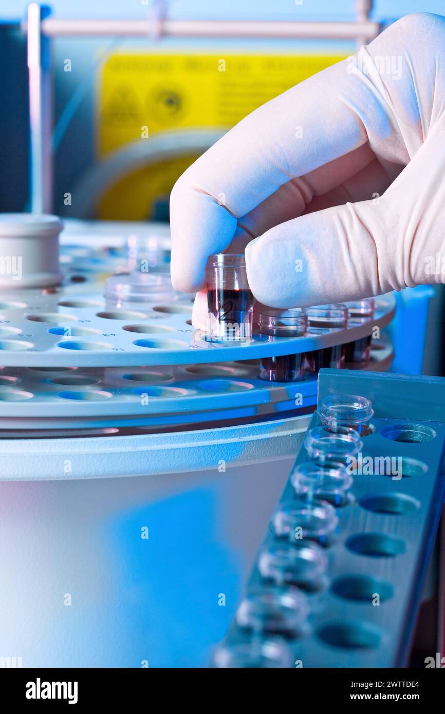 Scientist working with samples in a laboratory Stock Photo