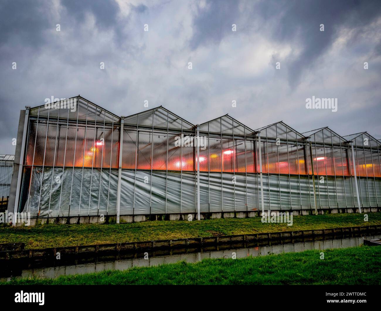 Greenhouse glowing warmly against a dramatic evening sky Stock Photo