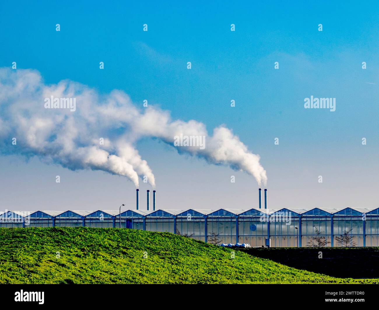 Industrial smokestacks tower over a greenhouse complex under a clear blue sky. Stock Photo