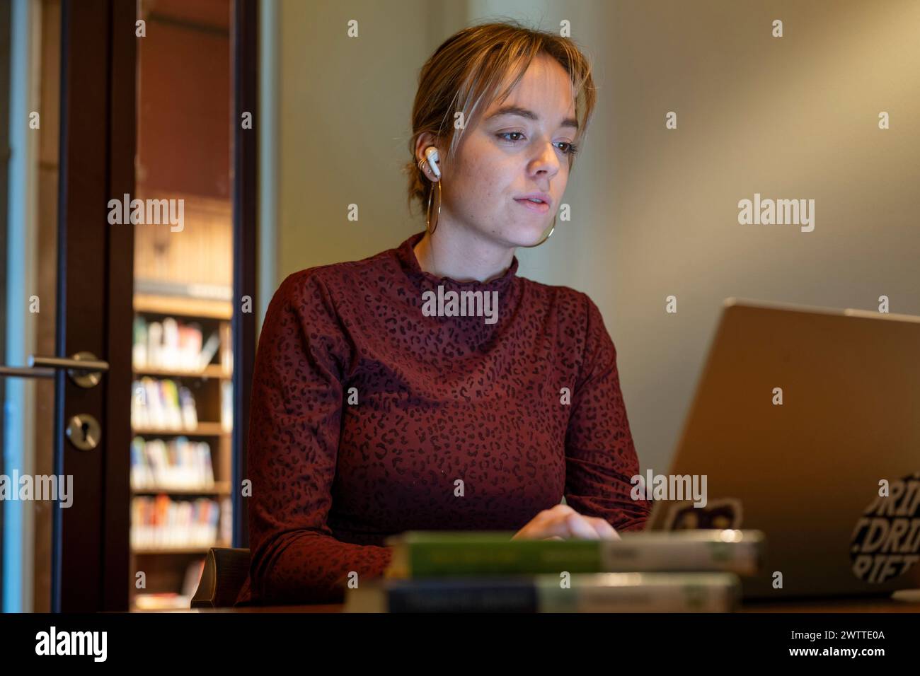 Young adult focused on working at a laptop in a cozy environment. Stock Photo