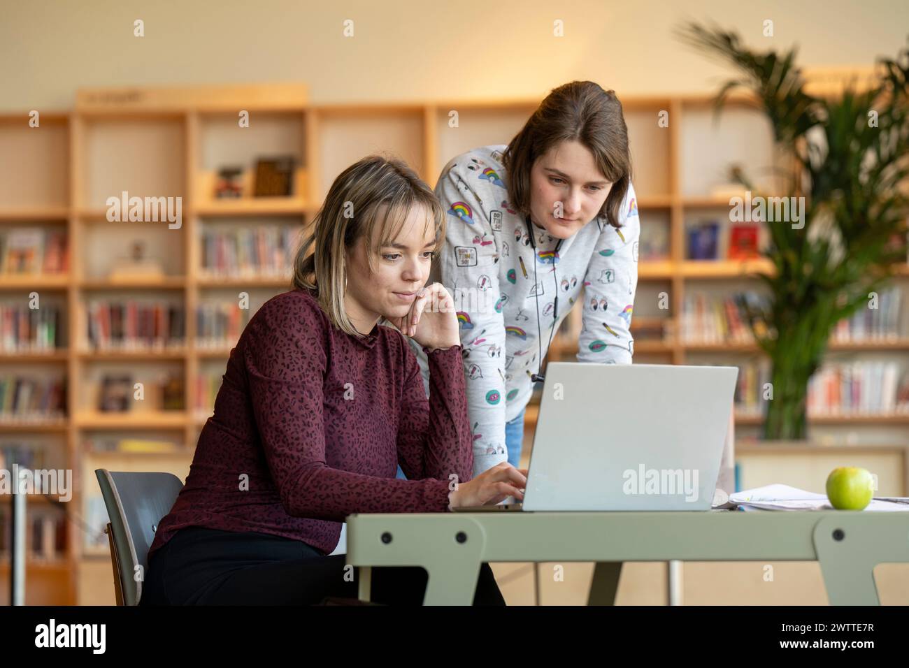Two individuals collaborating over a laptop in a library setting. Stock Photo
