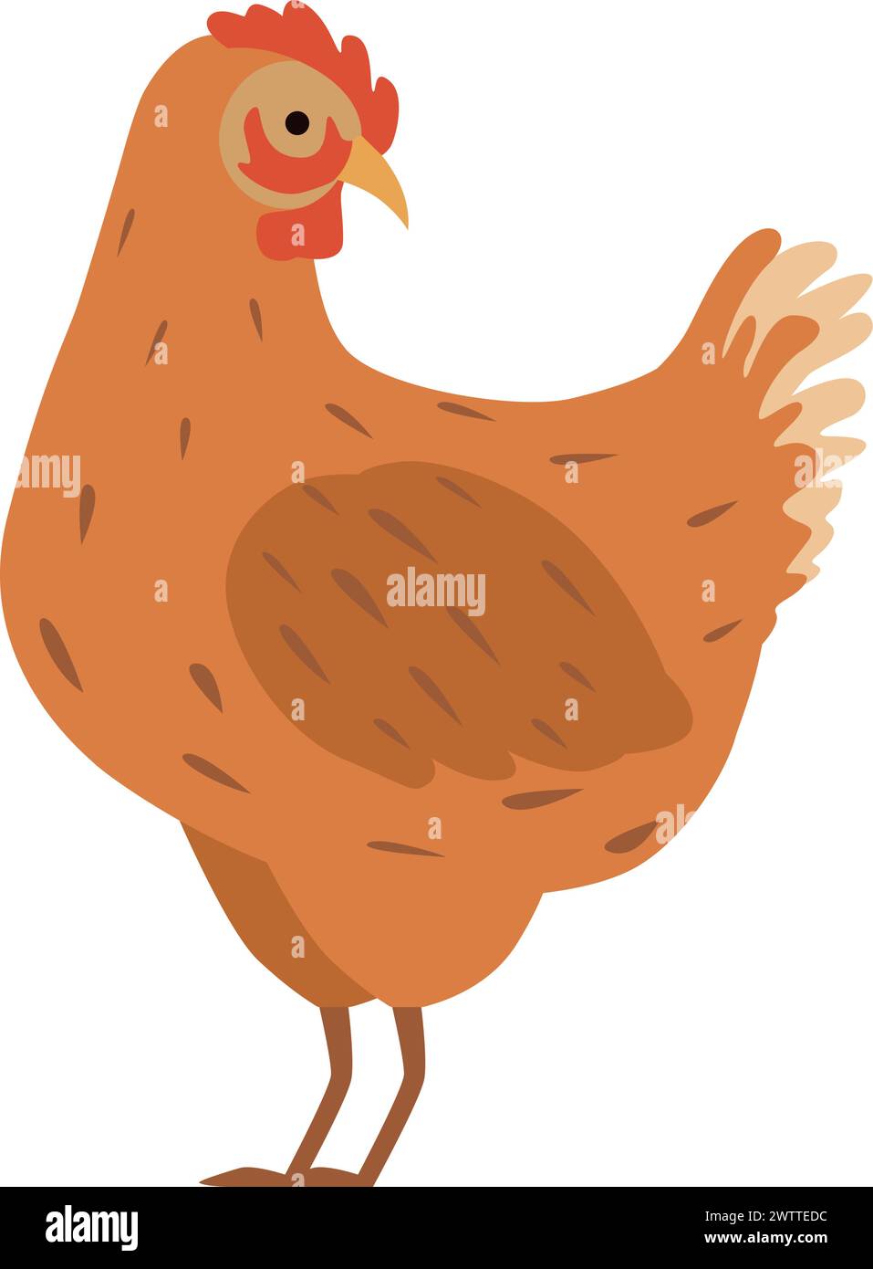 Hen color icon. Farm bird. Poultry animal Stock Vector
