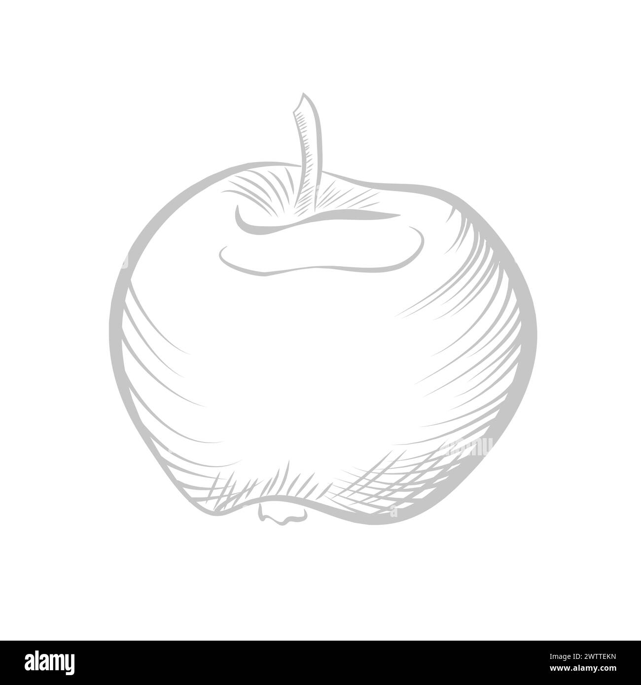 Apple line sketch, vitamin sweet fruit for eating, food ingredient for