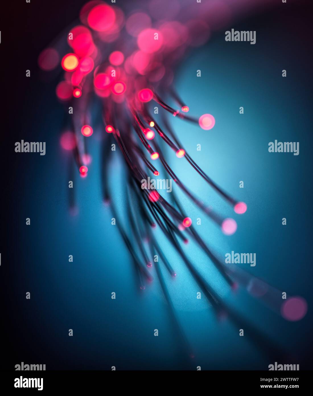 Fibre optics carrying data through the internet. Stock Photo