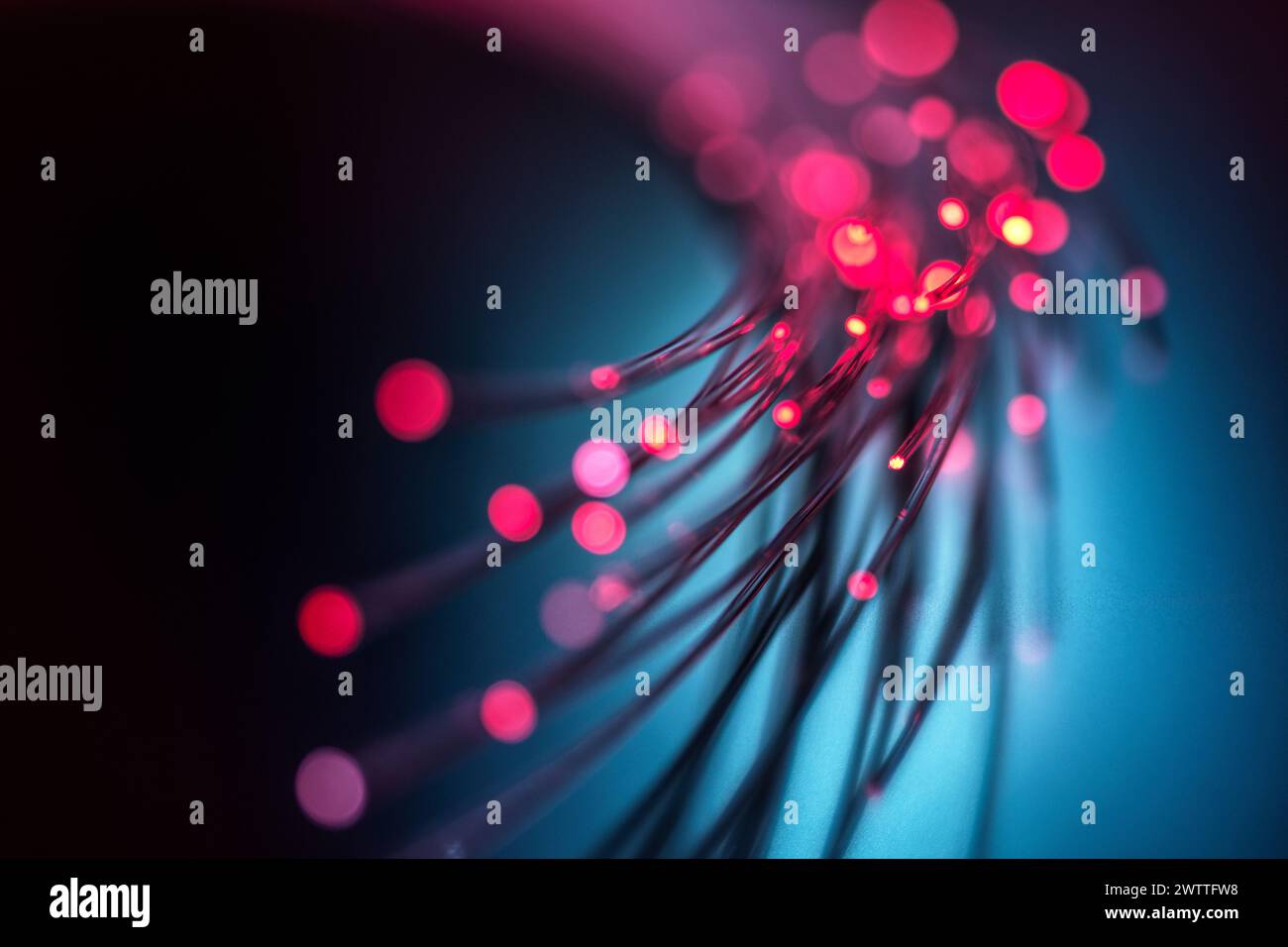 Fibre optics carrying data through the internet. Stock Photo
