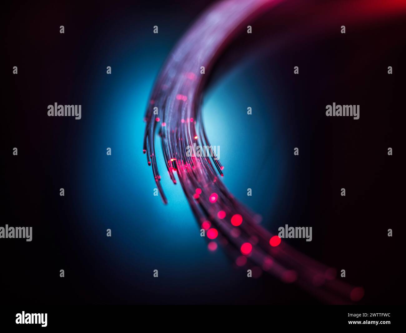 Fibre optics carrying data through the internet. Stock Photo