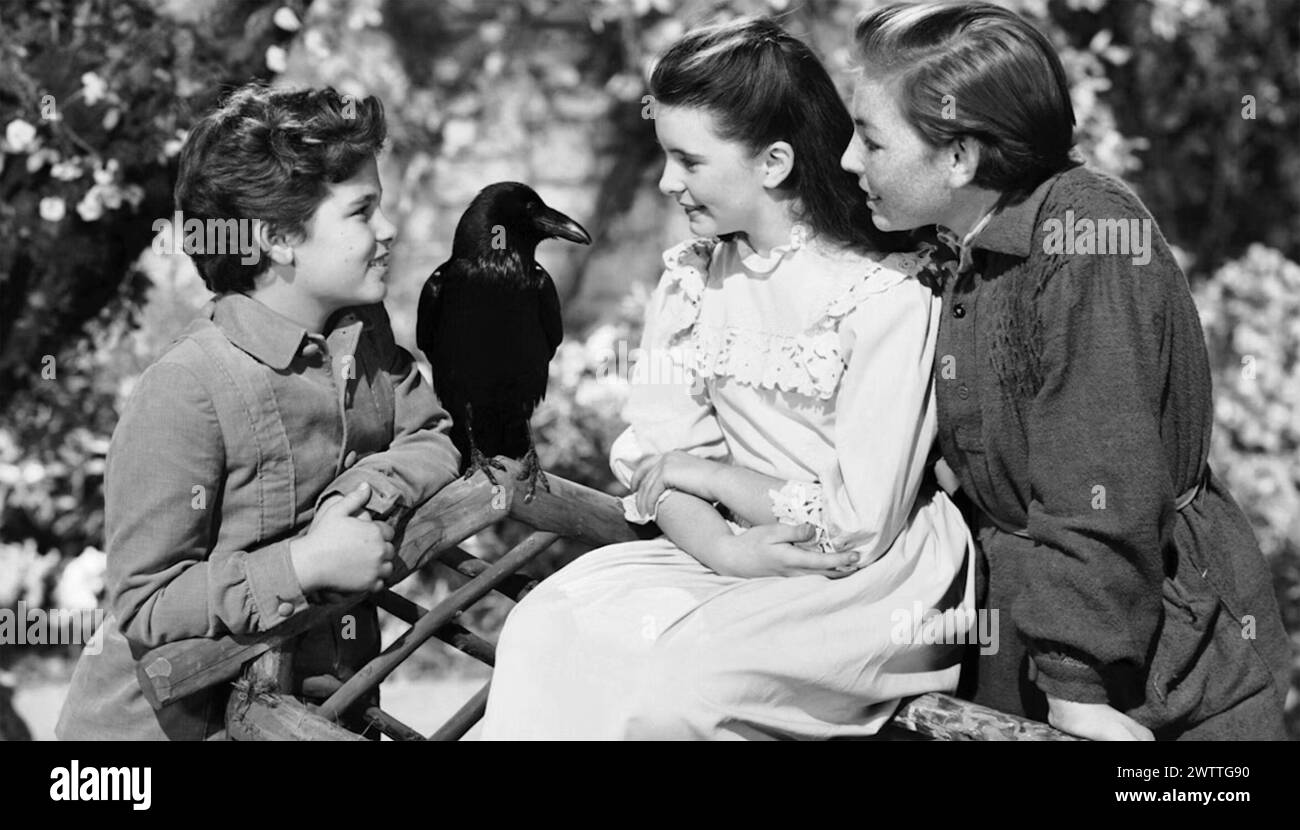 THE SECRET GARDEN 1949 MGM film with from left:  Brian Roper,, Margaret O'Brien, Dean Stockwell and Jimmy the Crow Stock Photo