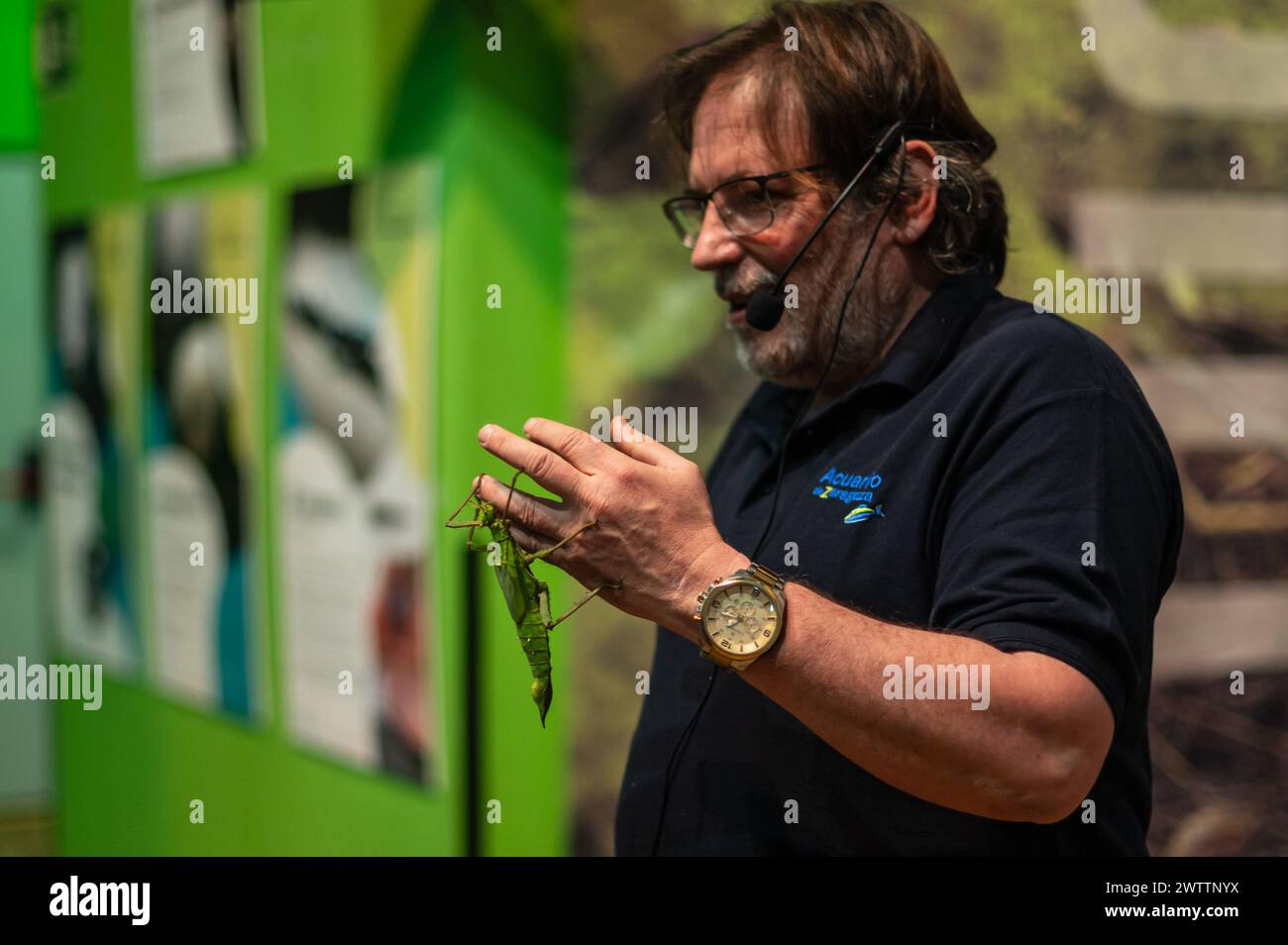 Arthropods Workshop taught by the entomologist and environmental disseminator Sergi Romeu Valles at Zaragoza River Aquarium, the largest in Europe Stock Photo