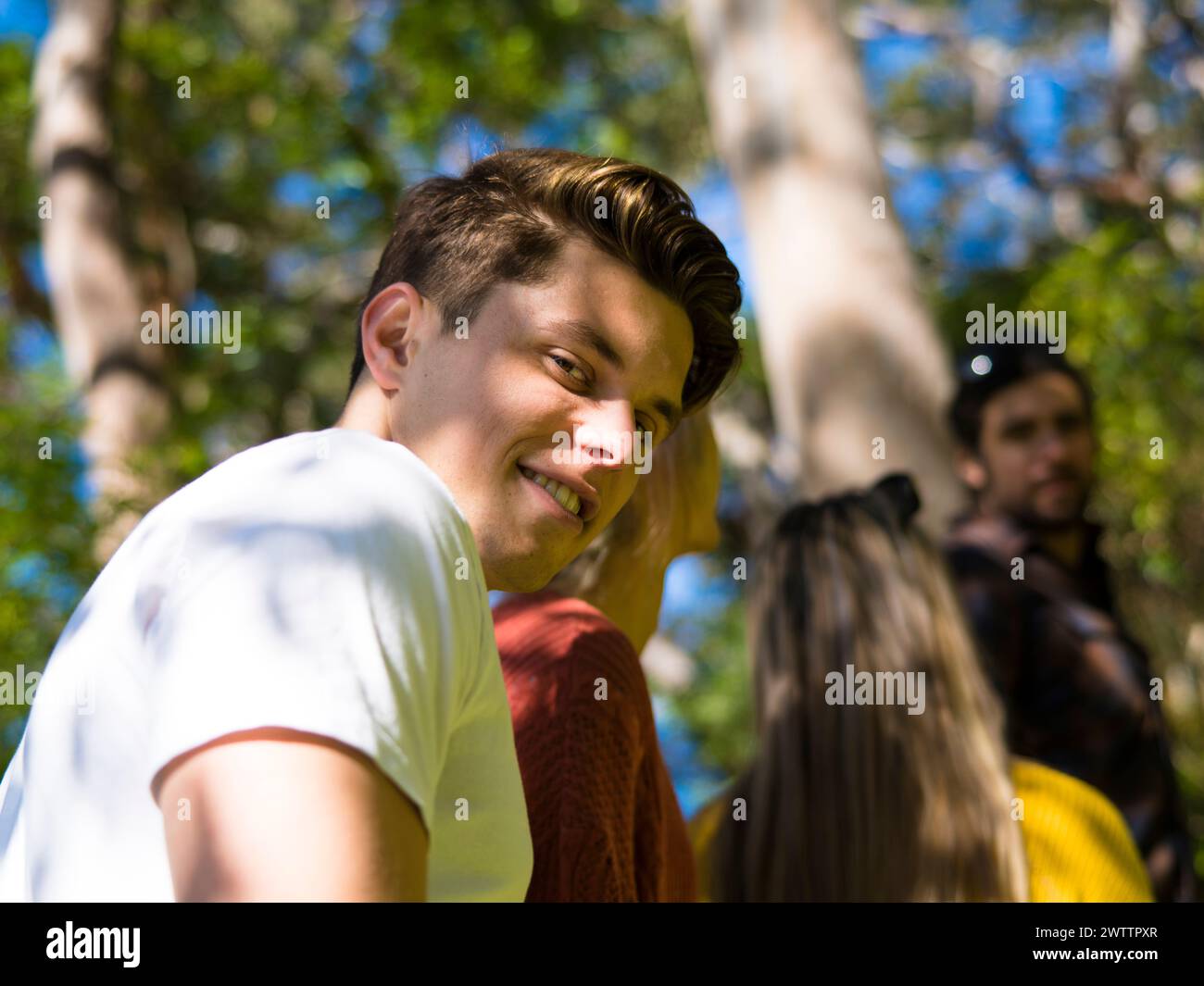Green sunny park hi-res stock photography and images - Alamy