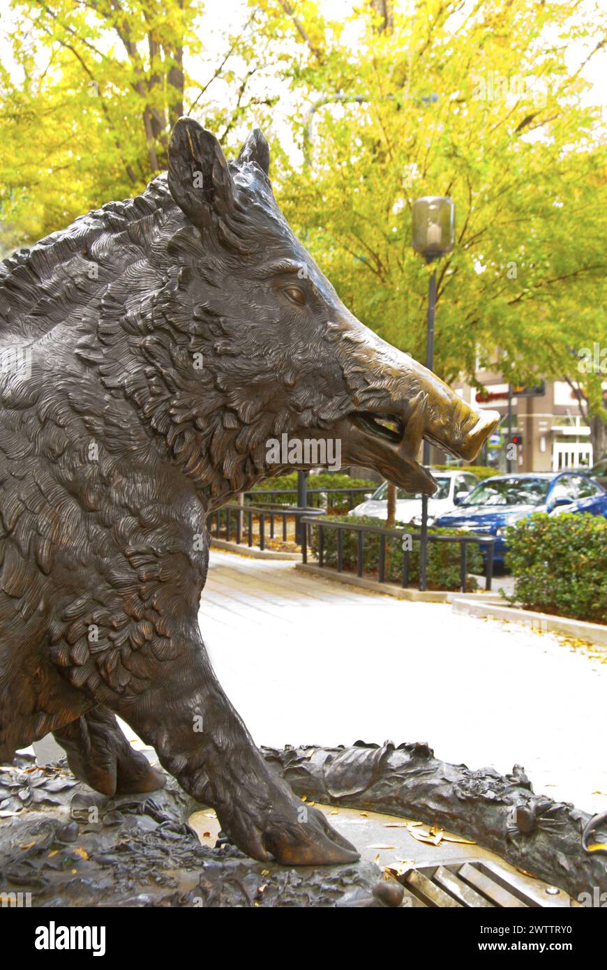 "II Porcellino" bronze wild boar statue replica of a Florence, Italy