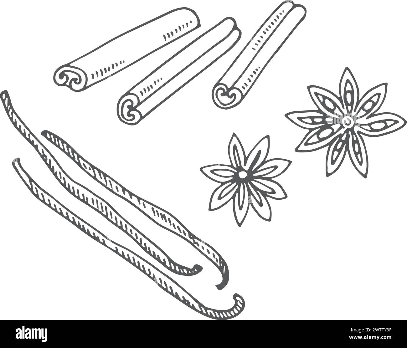 Cinnamon sketch. Aromatic bakery and cooking spice drawing Stock Vector ...