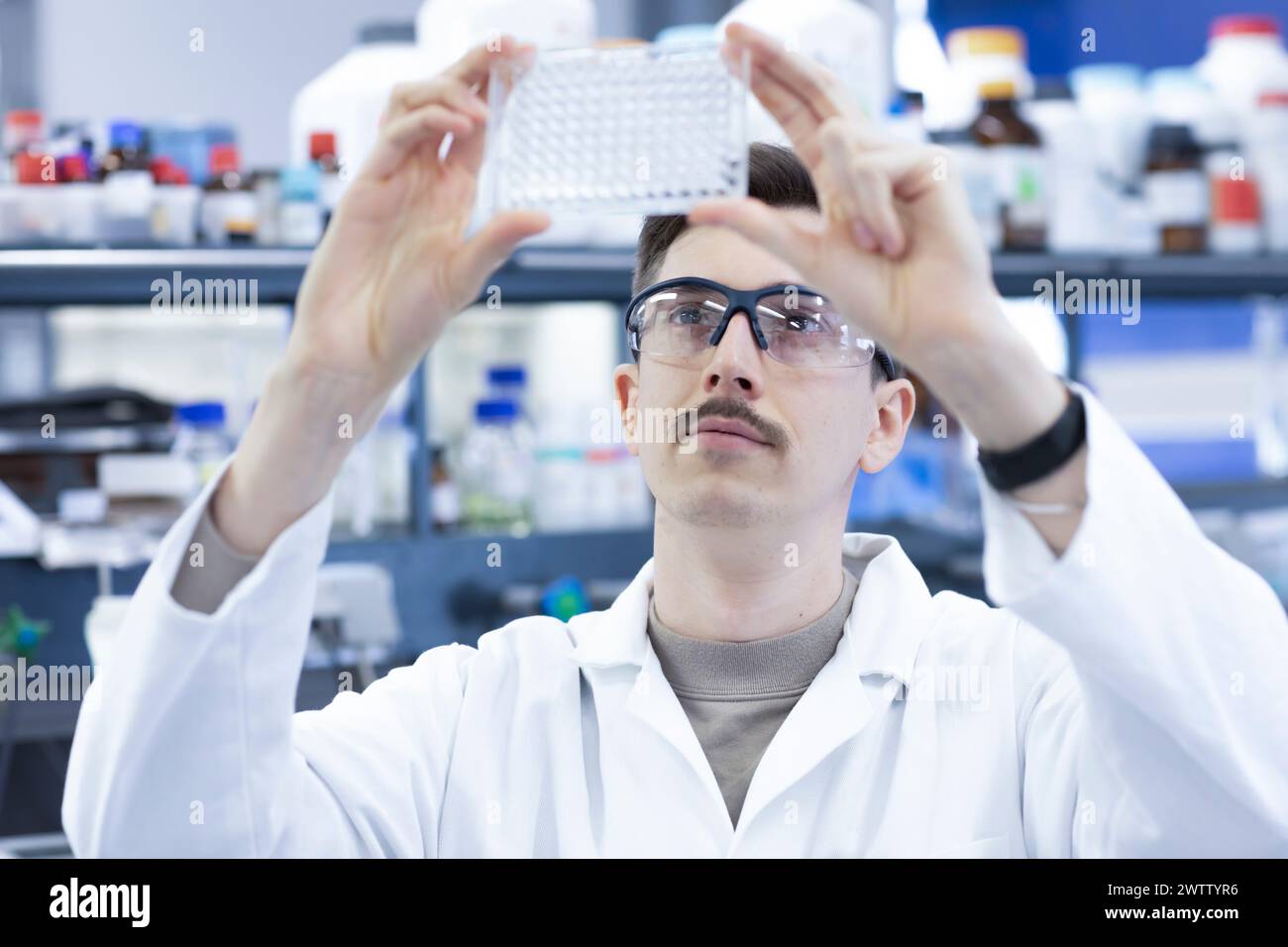 Scientist examining samples in a laboratory Stock Photo