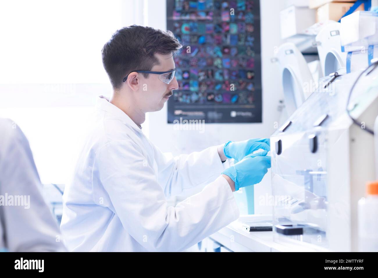 Young scientist conducting research in a laboratory Stock Photo