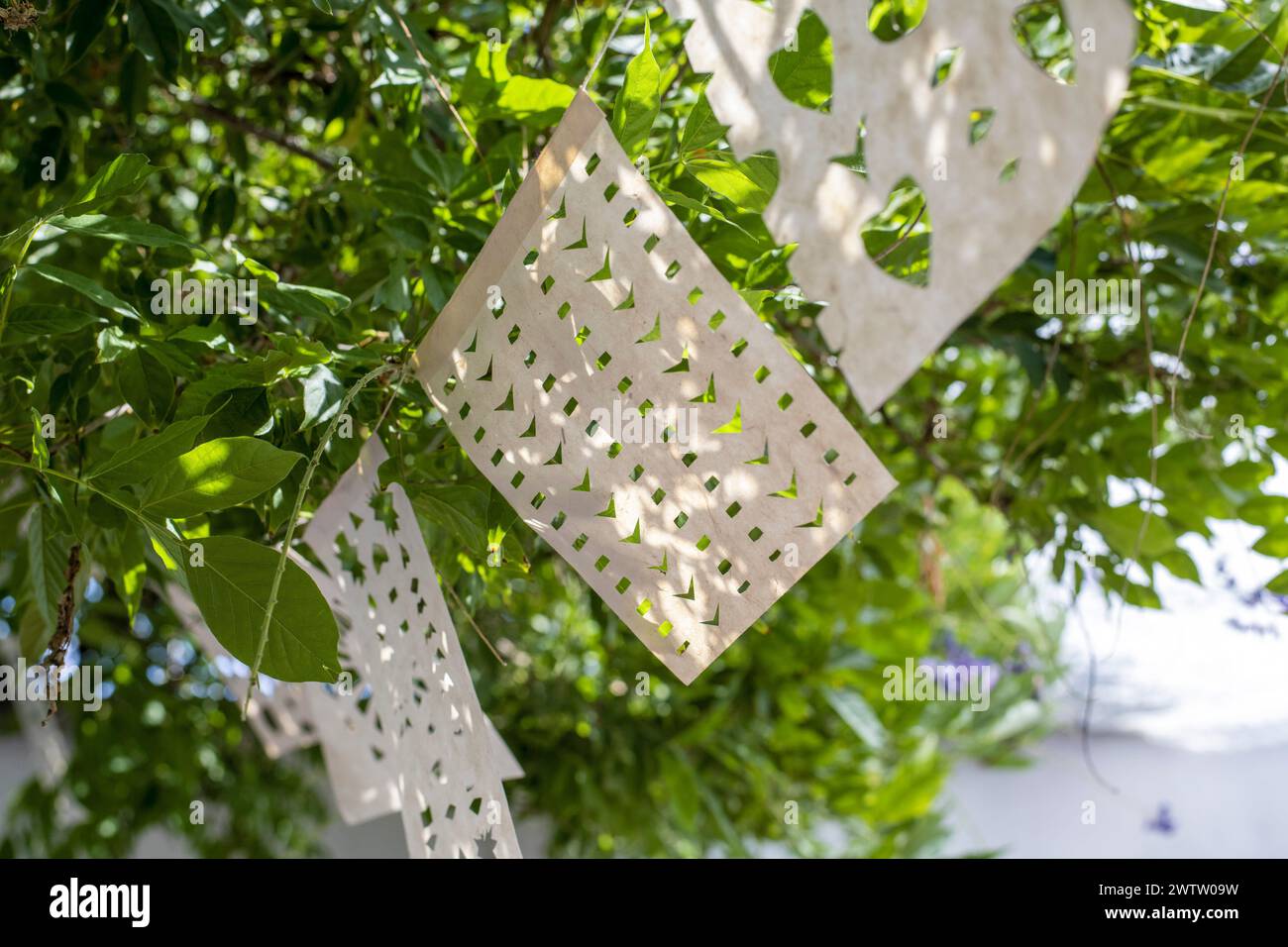 Decorative paper hanging from a tree branch Stock Photo Alamy