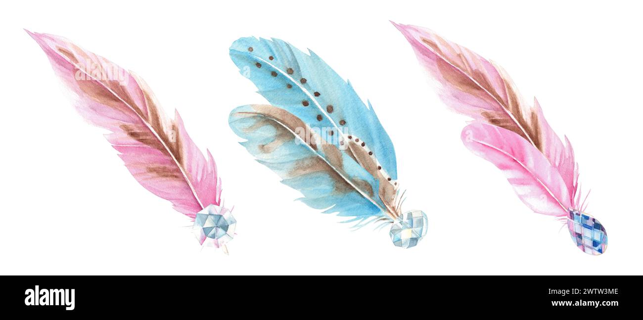 Watercolor compositions set from pale pink and blue feathers and ...