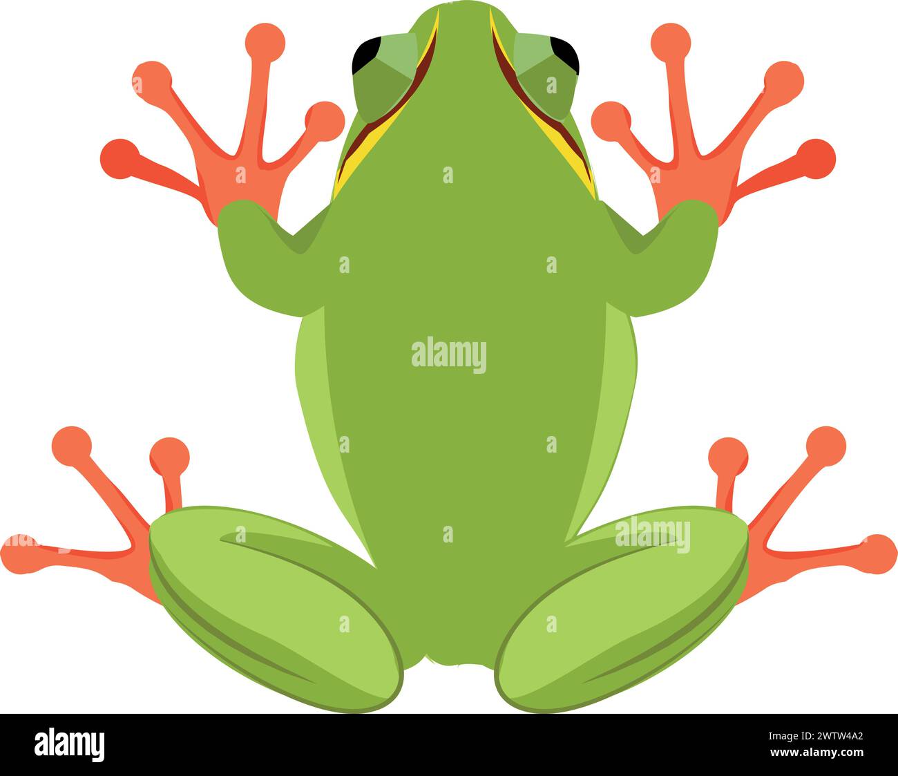 Frog illustration hi-res stock photography and images - Page 31