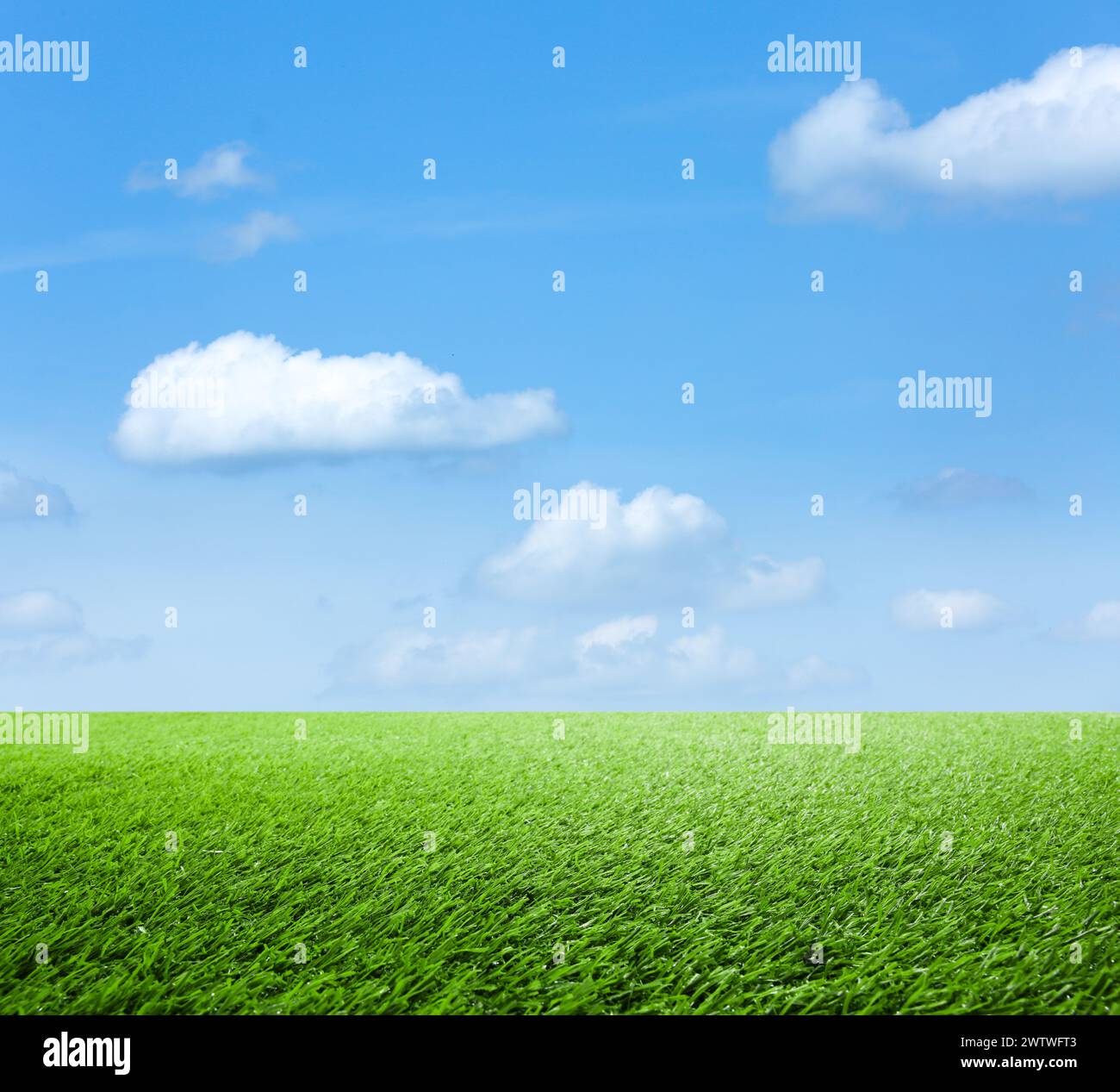 Green grass under blue sky with clouds Stock Photo - Alamy